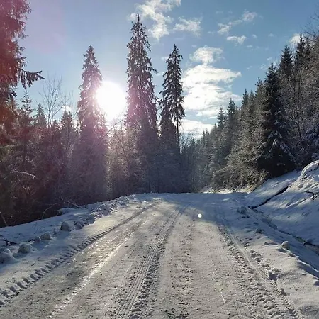 Sielanka Z Goraca Bania Na Wylacznosc Villa
