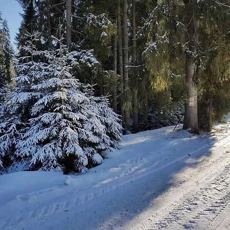 Villa Sielanka Z Goraca Bania Na Wylacznosc Łapsze Niżne