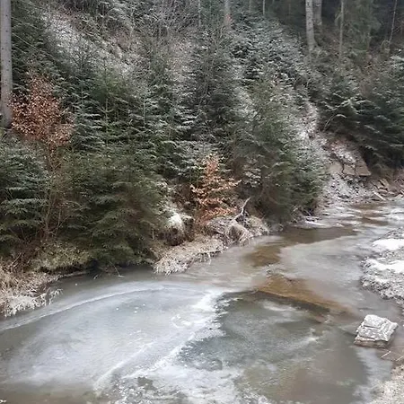 Sielanka Z Goraca Bania Na Wylacznosc *