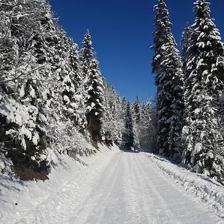 Sielanka Z Goraca Bania Na Wylacznosc *